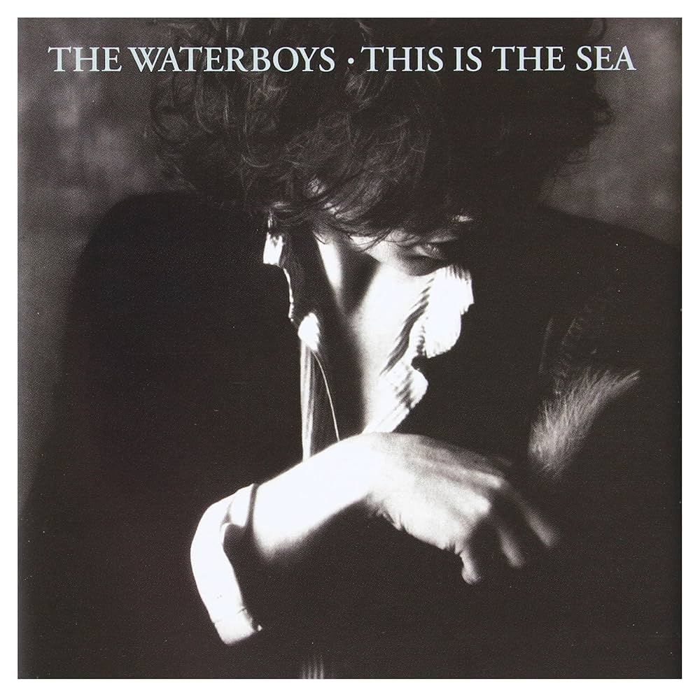 The Waterboys - This Is the Sea - Amazon.com Music
