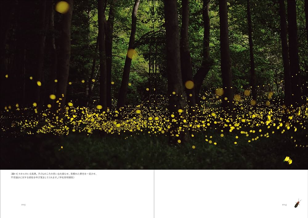 ホタルの不思議な世界 | サラ・ルイス, 大場 裕一, 髙橋 功一 |本