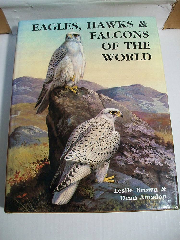 Eagles, Hawks and Falcons of the World: Brown, Leslie, Amadon