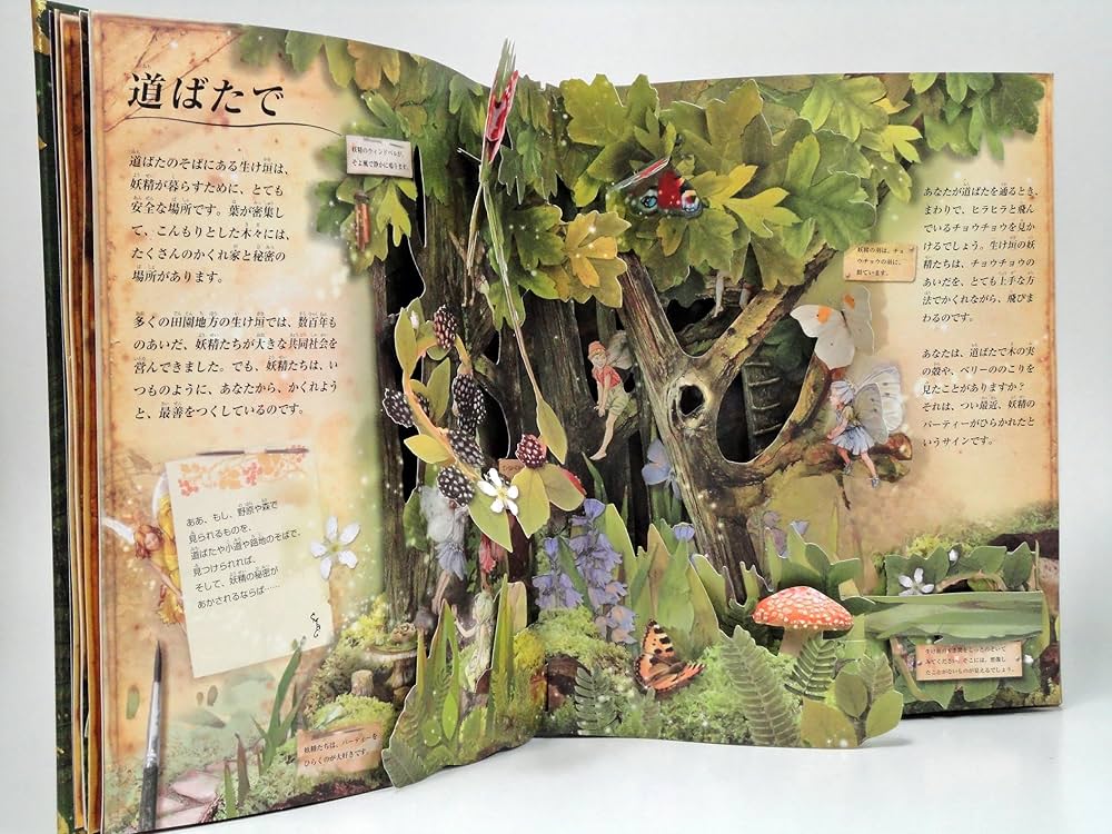 Amazon.co.jp: フラワ-・フェアリ-ズ(花の妖精たち)のお話 (とびだし