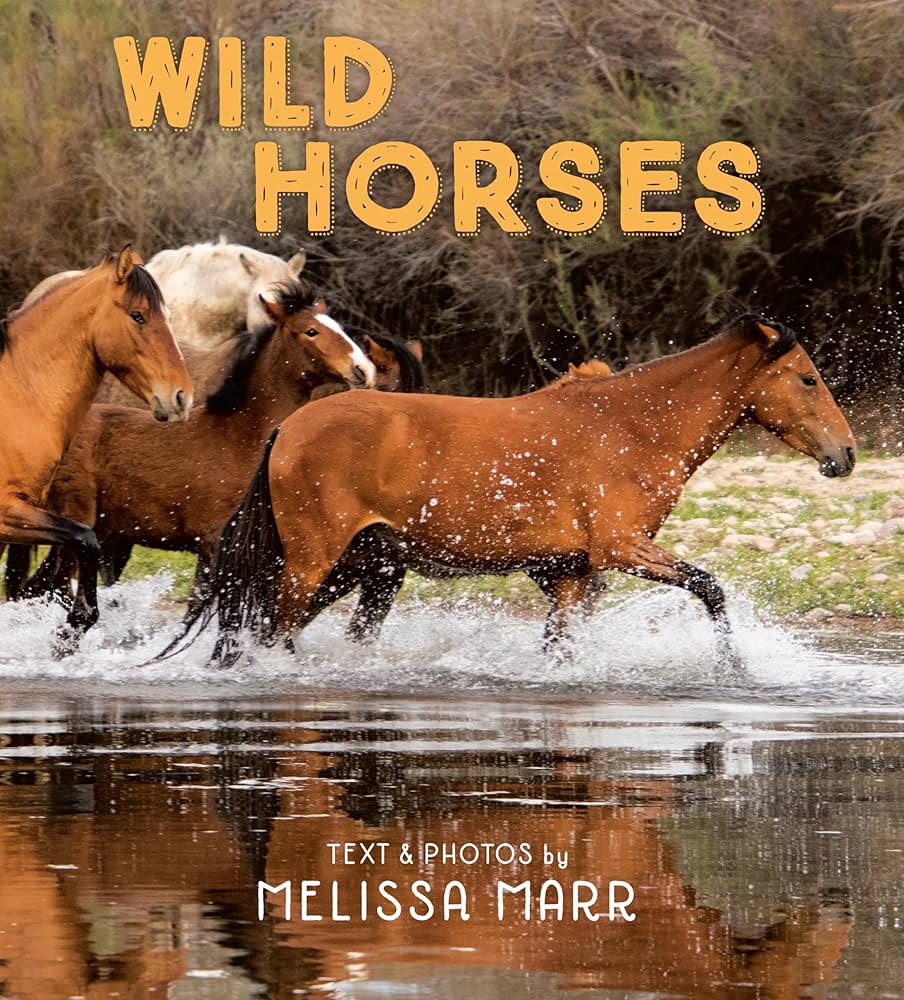 Amazon.com: Wild Horses: 9780593109113: Marr, Melissa, Marr