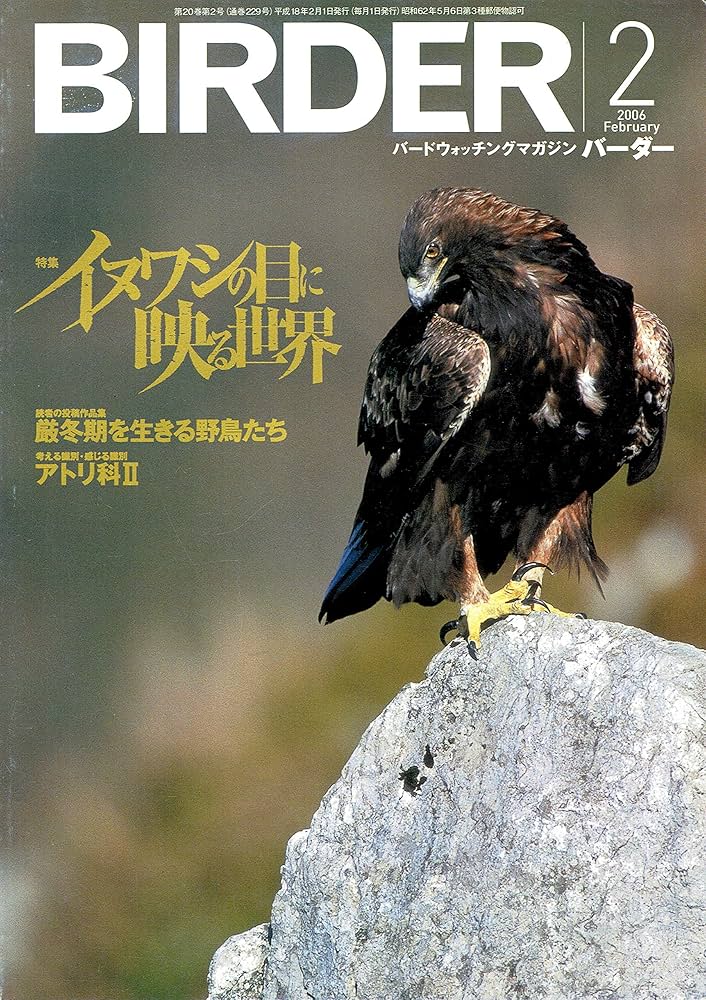 Amazon.co.jp: BIRDER（バーダー） 2006年2月号 「特集：イヌワシの目