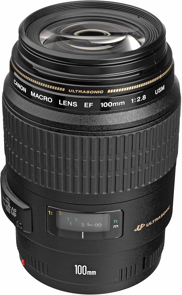 Canon EF 100 mm F2.8 USM Macro Lens : Amazon.com.tr: Elektronik
