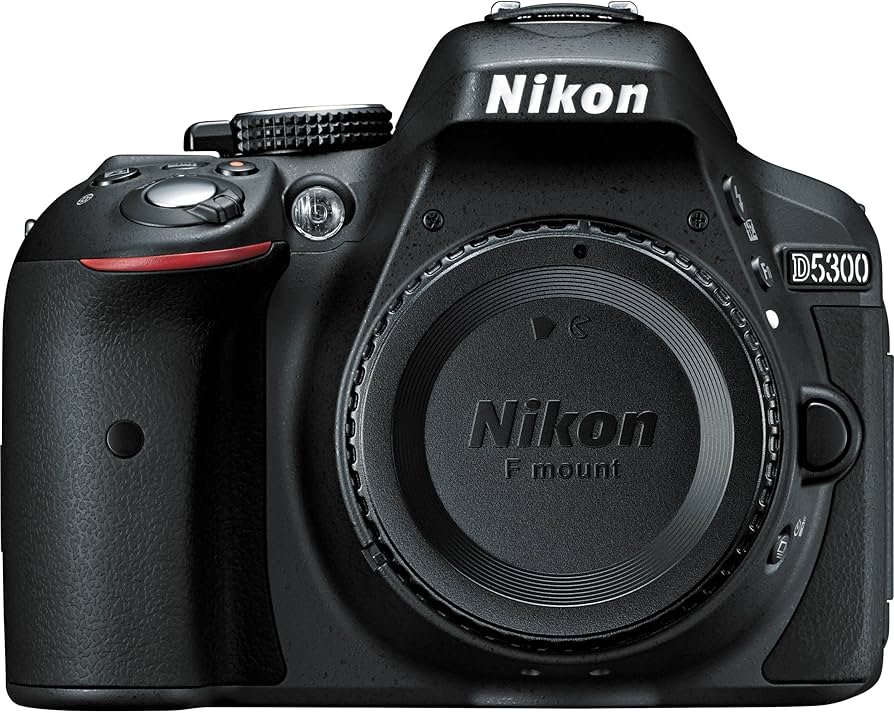 Amazon.com : Nikon D5300 24.2 MP CMOS Digital SLR Camera with