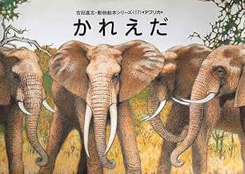 91ODa1geQmL._AC_UF350,