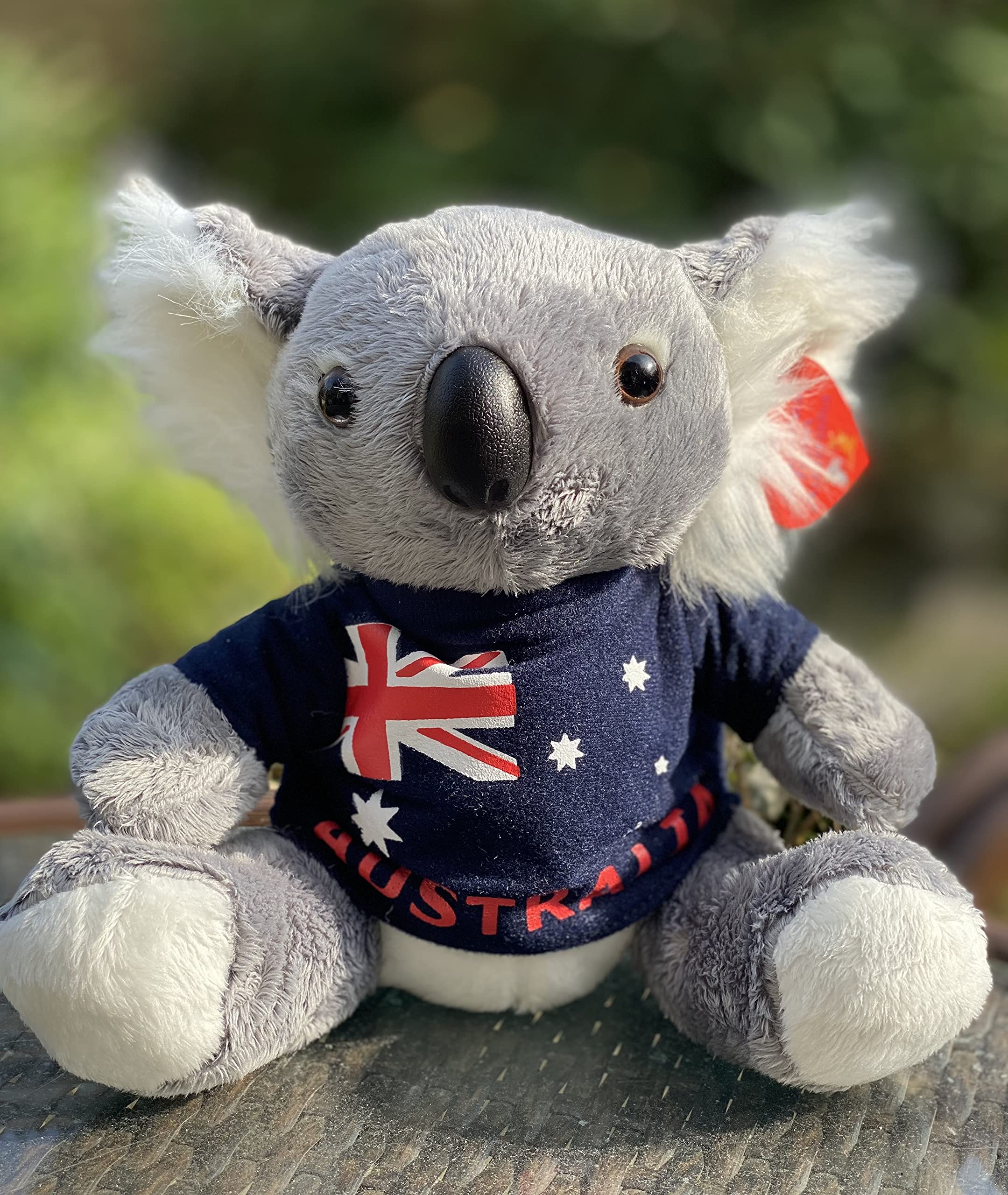 Amazon.com: Aeisage Koala Stuffed Animal - 6 Inch Plush Koala Bear