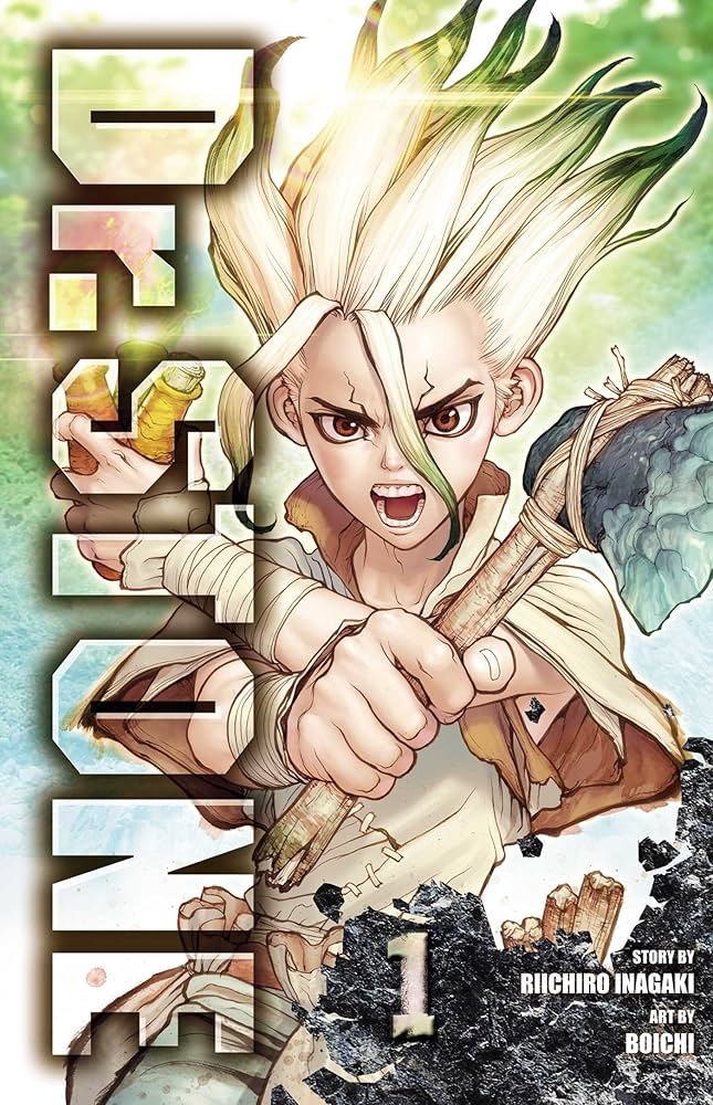 Amazon.com: Dr. STONE, Vol. 1: Stone World: 9781974702619: Inagaki