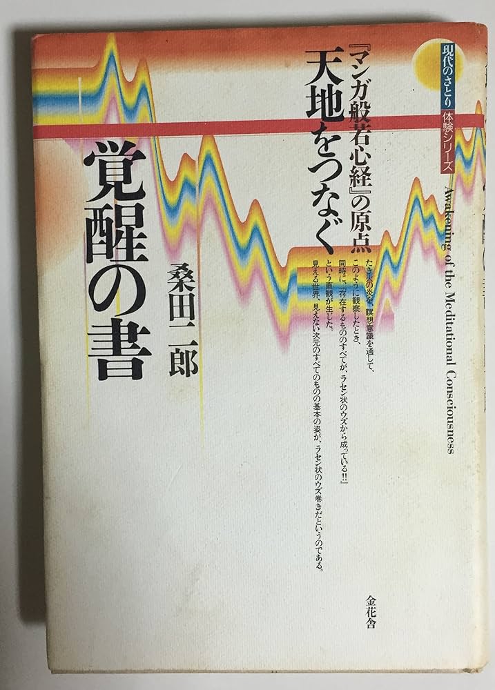 天地をつなぐ覚醒の書: マンガ般若心経の原点 (現代のさとり体験
