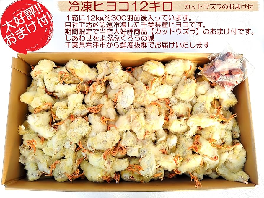 Amazon | フクロウ・タカ・ハヤブサ等の餌 冷凍ヒヨコ12Kg 約300羽入り