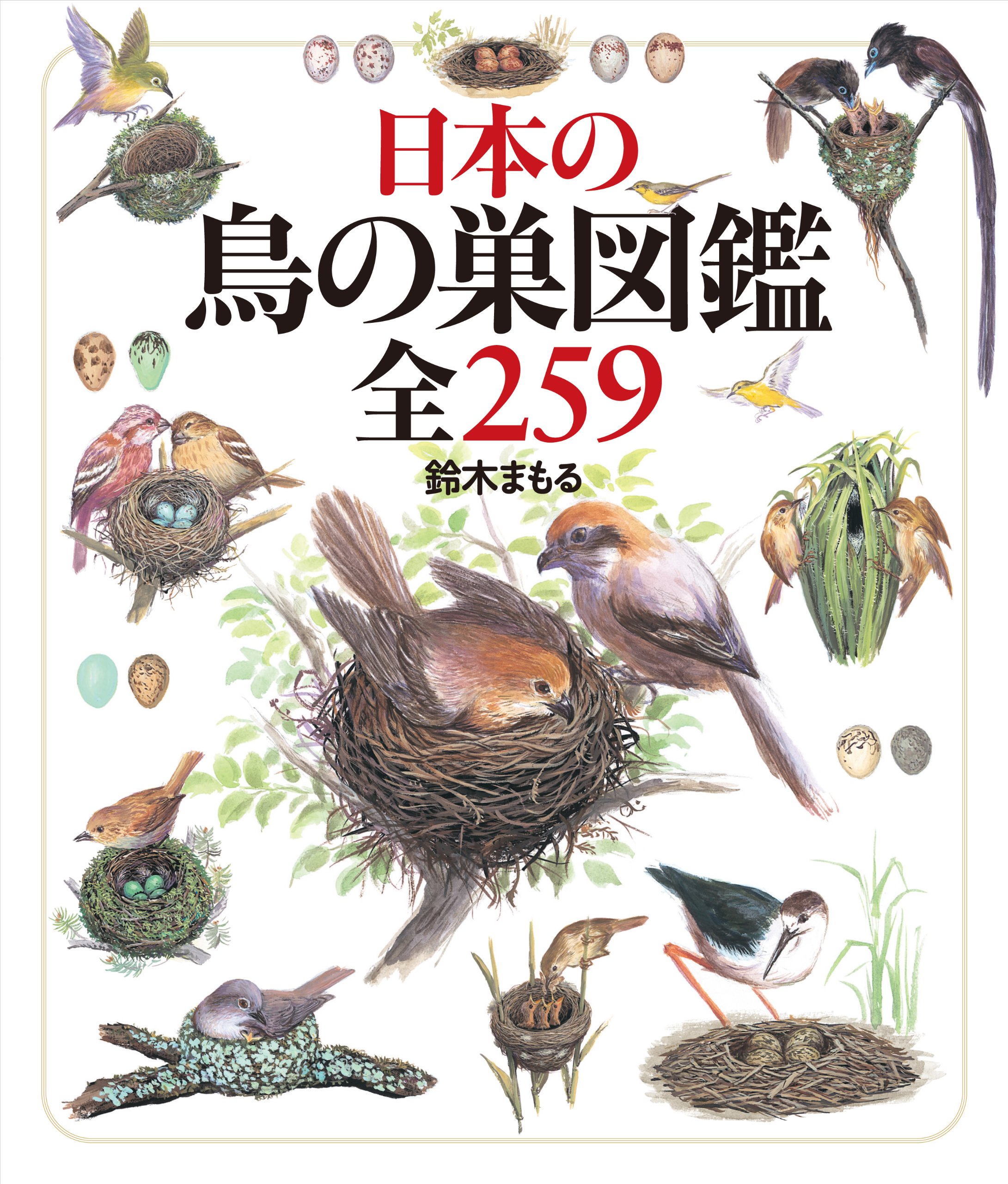 日本の鳥の巣図鑑全259 | 鈴木 まもる, 鈴木 まもる |本 | 通販 | Amazon