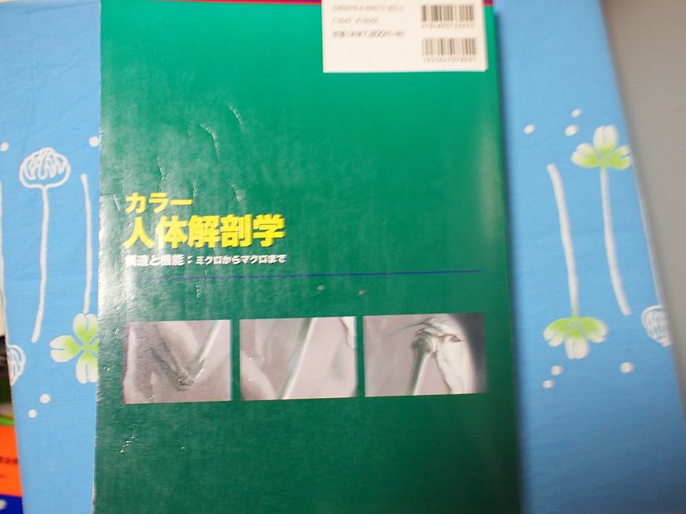 視覚解剖学と生理学、グローバルエディション+マルティーニの人体地図