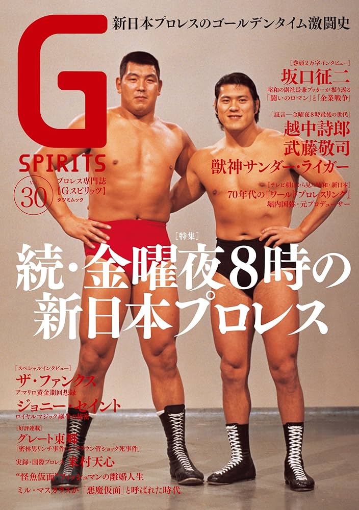 G SPIRITS 創刊号〜30号セット 全DVD付き Gスピリッツ プロレス G