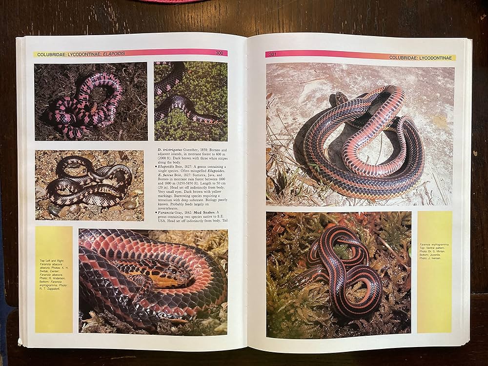 The Atlas of Snakes of the World: Coborn, John: 9780866227490