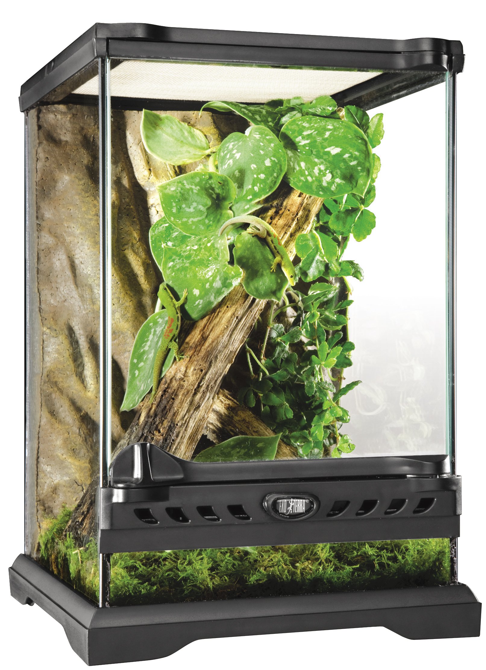 Amazon | ジェックス EXO TERRA (エキゾテラ) グラステラリウム ナノ