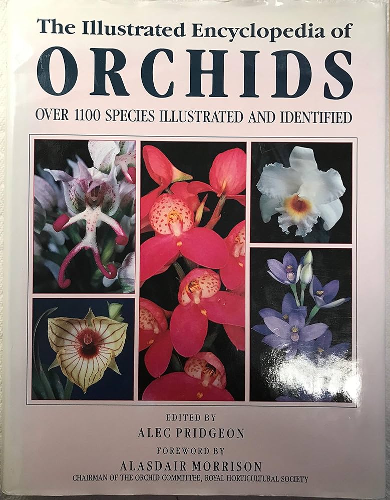 The Illustrated Encyclopedia of Orchids: Pridgeon, Alec