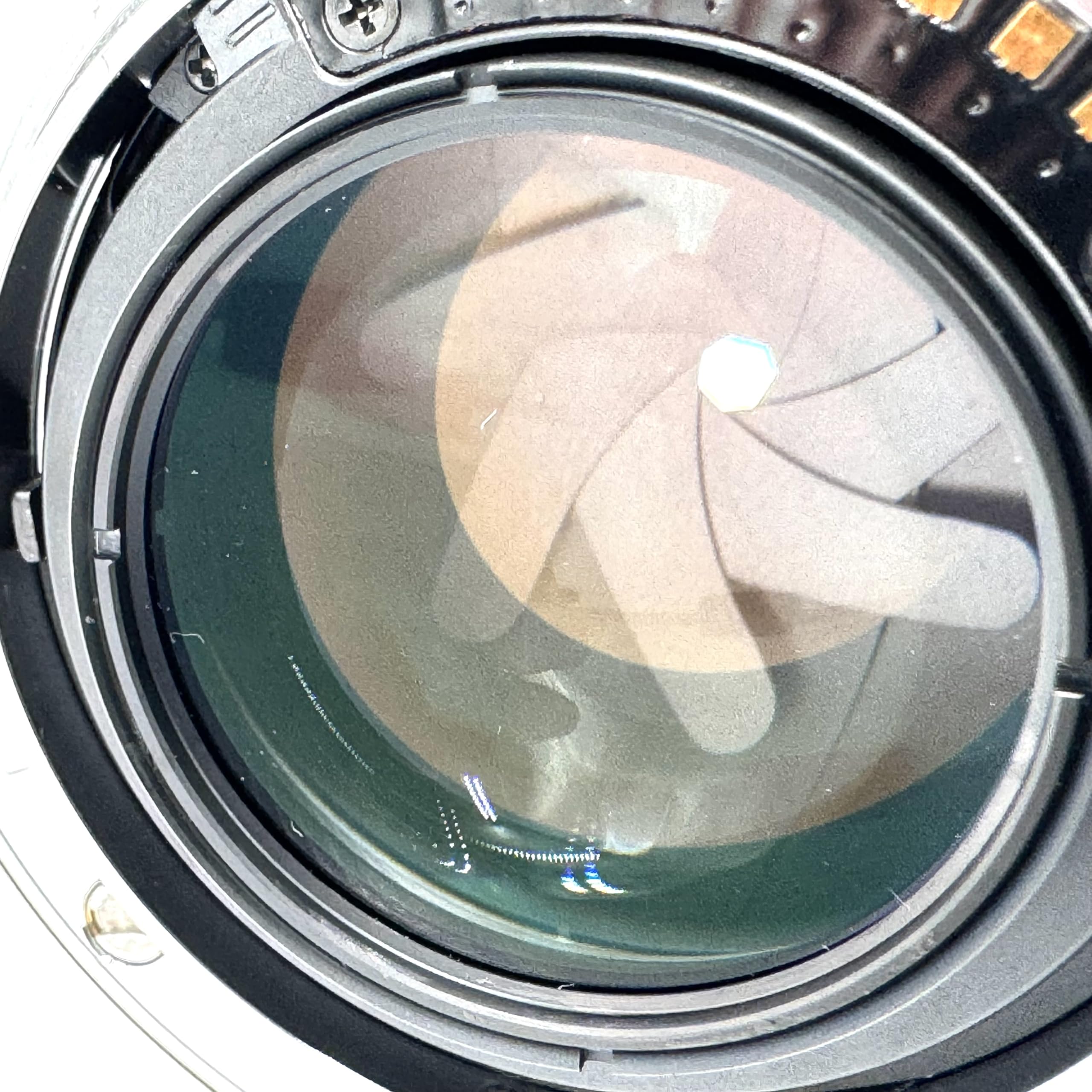 Amazon.co.jp: SONY 単焦点レンズ 50mm F1.4 SAL50F14 フルサイズ対応