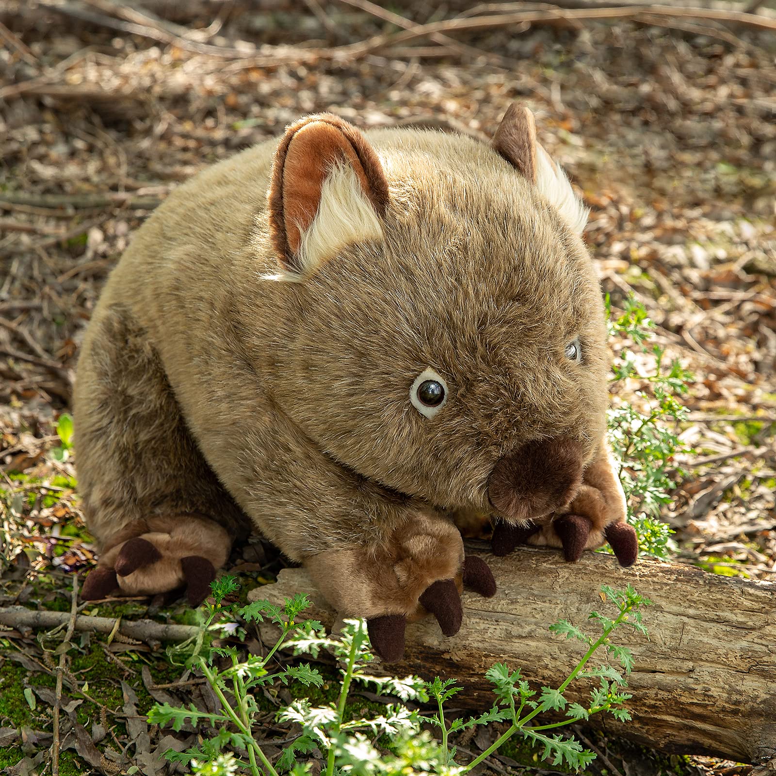 Amazon.co.jp: Frankiezhou Home Wombat Plush Toy - Lifelike 12