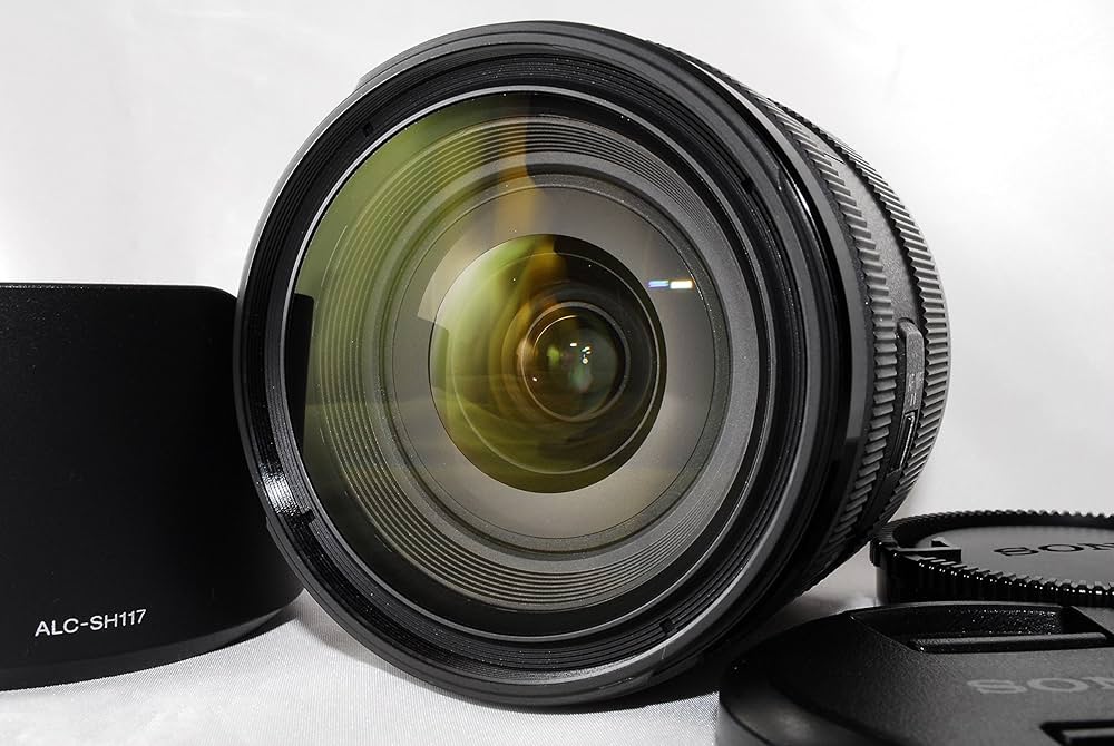 Amazon.co.jp: SONY 標準ズームレンズ DT 16-50mm F2.8 SSM APS-C