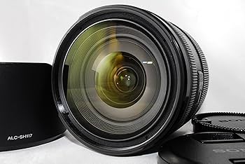 ☆極上品☆ ソニー SONY DT 16-50mm F2.8 SSM #946 ☆極上品☆ ソニー
