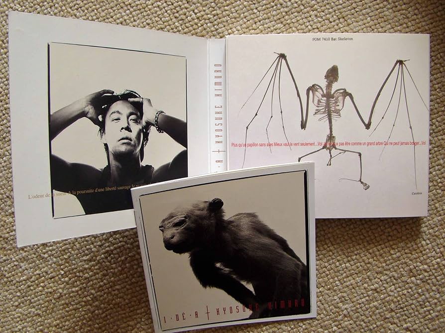 Amazon.co.jp: IDEA - 氷室京介: ミュージック