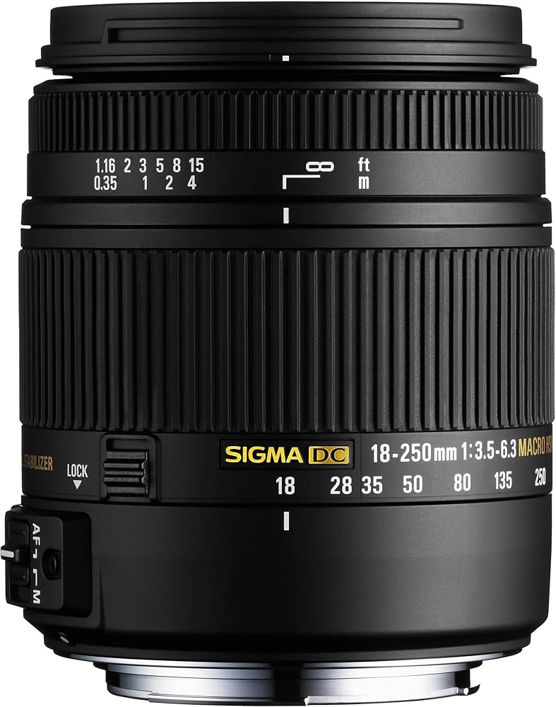 Amazon.com : Sigma 883101 18-250mm f3.5-6.3 DC Macro OS Hyper
