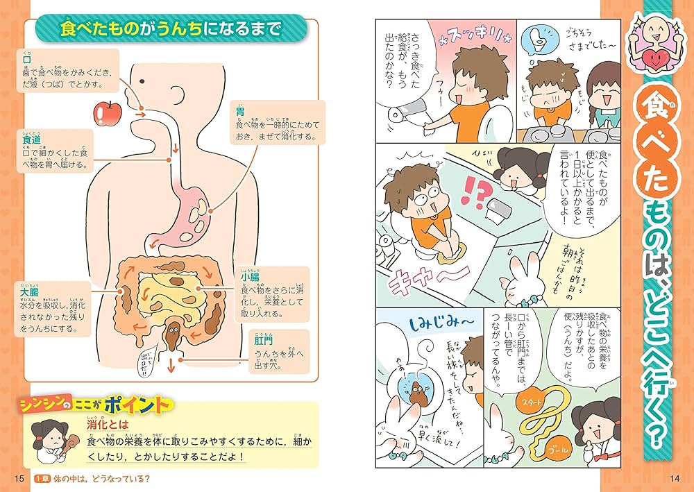 Amazon.co.jp: 学校では教えてくれない大切なこと 18 からだと心