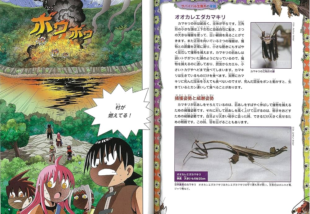 ジャングルのサバイバル 10 (大長編サバイバルシリーズ) | 洪在徹