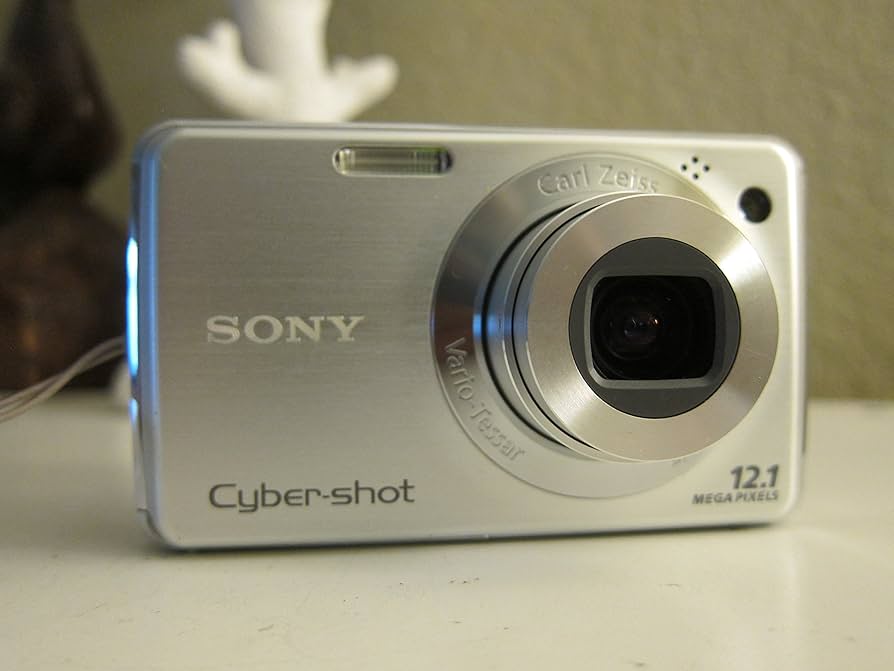 Amazon.com : Sony Cybershot DSC-W220 12.1MP Digital Camera with 4x