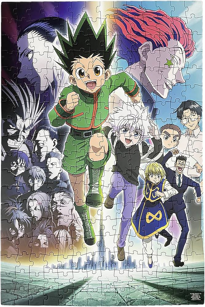 Amazon.com: Paladone Hunter x Hunter 250pc Jigsaw Puzzle, 46cm