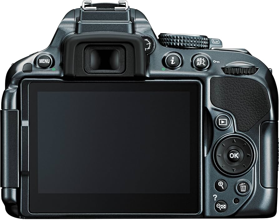 Amazon.com : Nikon D5300 24.2 MP CMOS Digital SLR Camera with