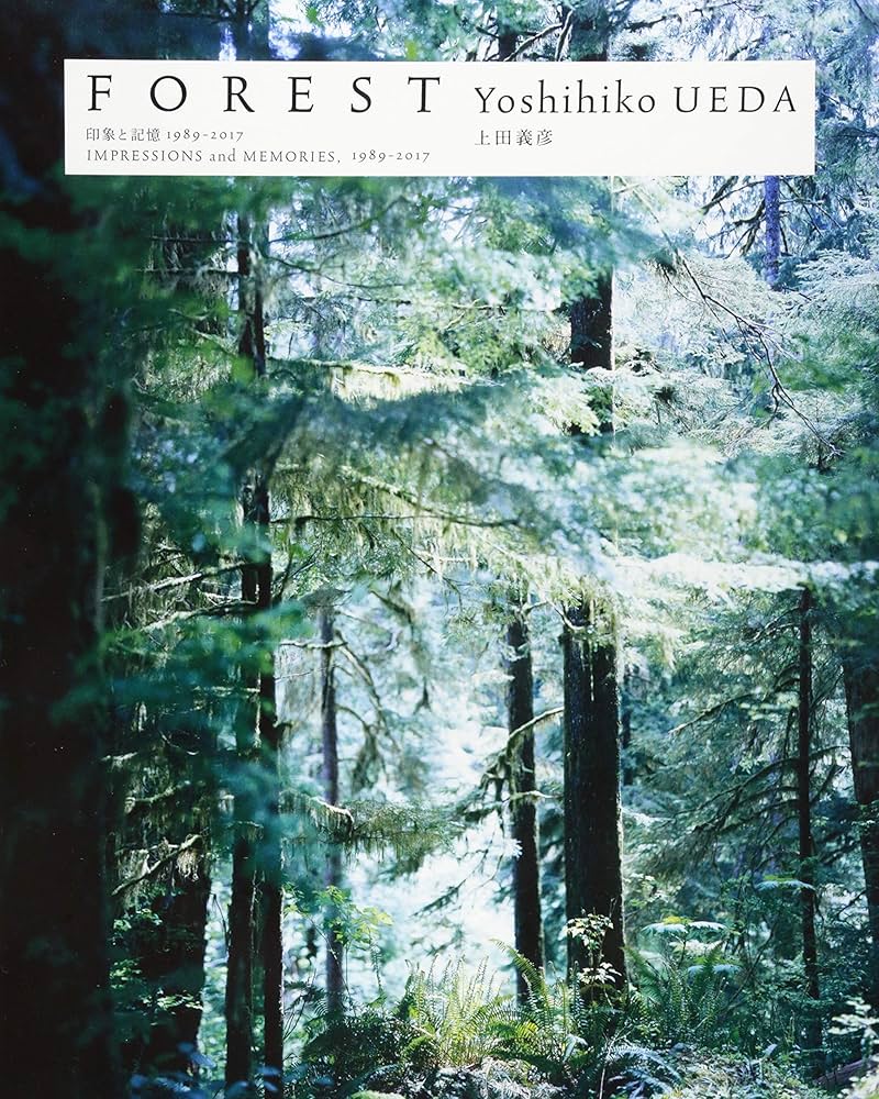 Amazon.co.jp: 上田義彦写真集 FOREST ー 印象と記憶 1989-2017 : 上田