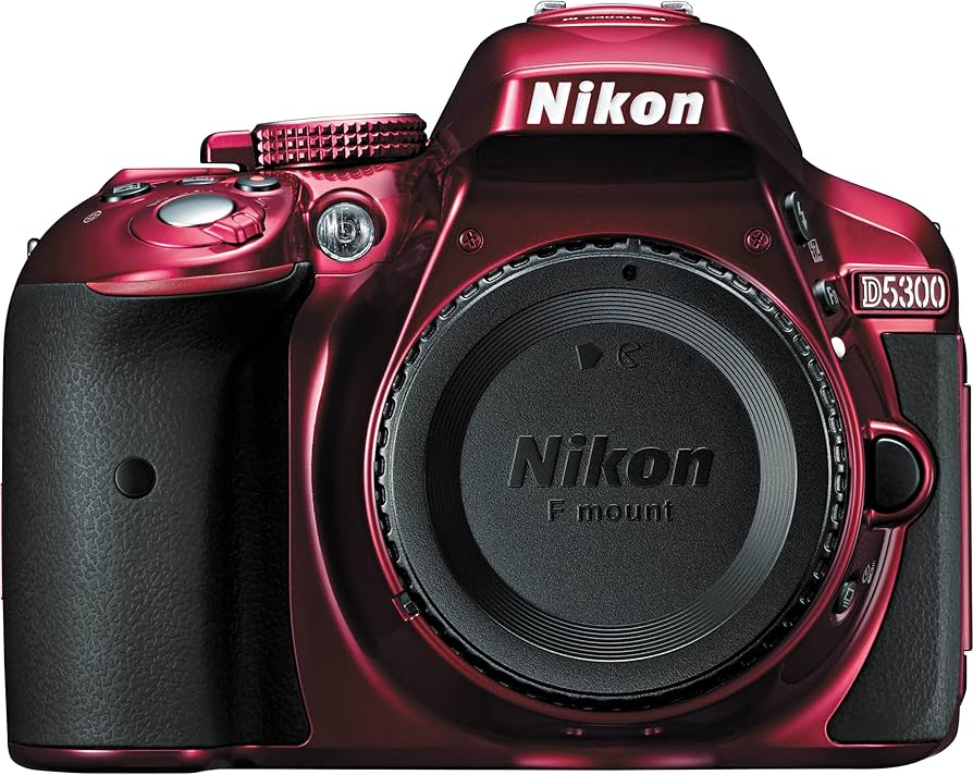 Amazon.com : Nikon D5300 24.2 MP CMOS Digital SLR Camera with