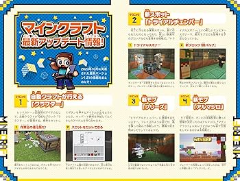 マインクラフトまるわかりガイド for SWITCH 2024 ～冒険の基本、建築