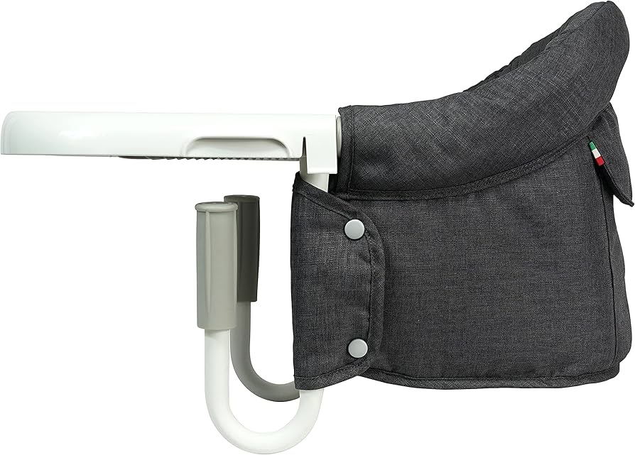 Amazon | イングリッシーナ ファスト チャコール inglesina 156200