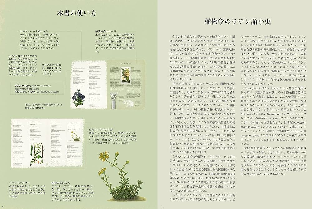 ヴィジュアル版 植物ラテン語事典 | ロレイン ハリソン, Harrison