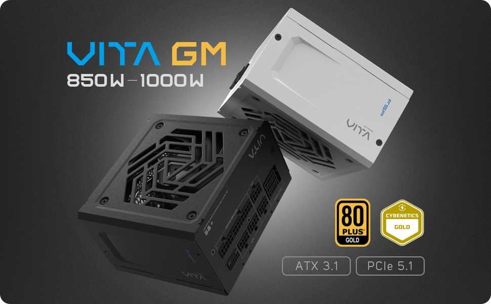 Amazon.com: FSP VITA GM 850W Power Supply, 80 Plus Gold, ATX 3.1