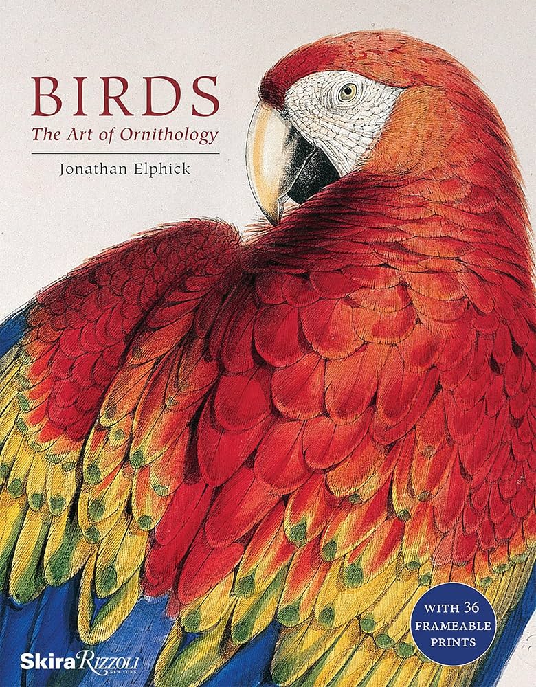Birds: The Art of Ornithology: Elphick, Jonathan: 9780847861088