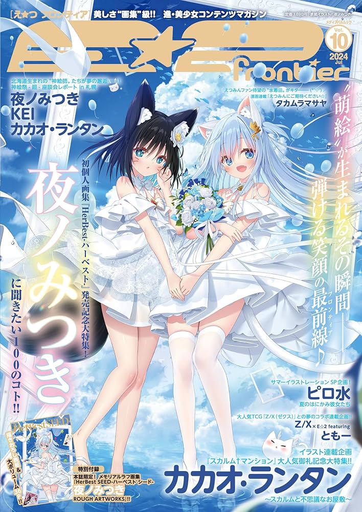 Amazon.co.jp: E☆2(えつ) frontier Vol.10 (メディアパルムック) : 本