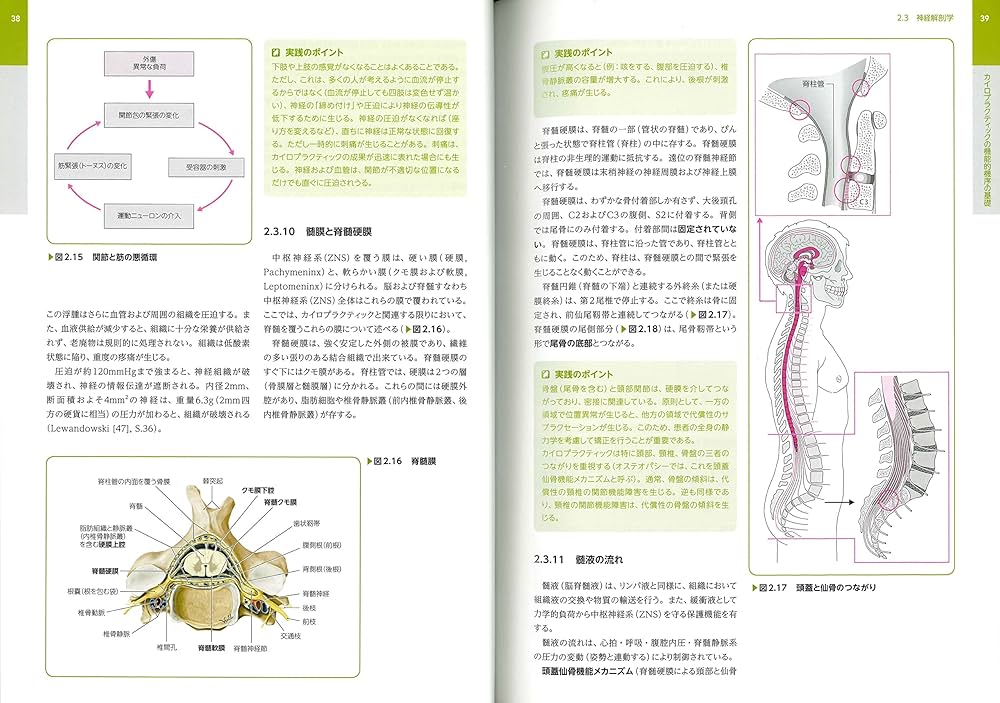 カイロプラクティック テクニック教本 ――理論と実践―― | ヘンリク
