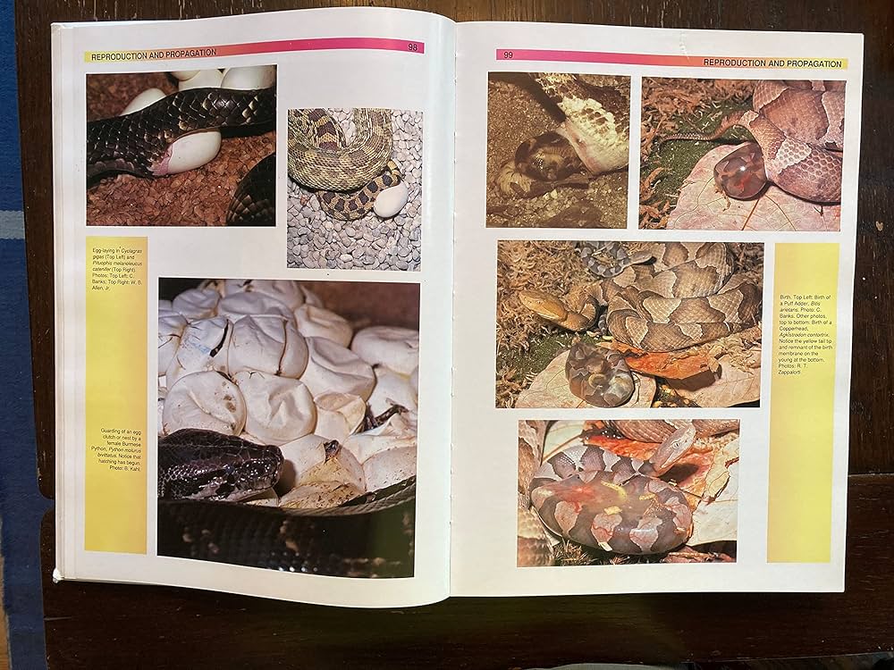 The Atlas of Snakes of the World: Coborn, John: 9780866227490