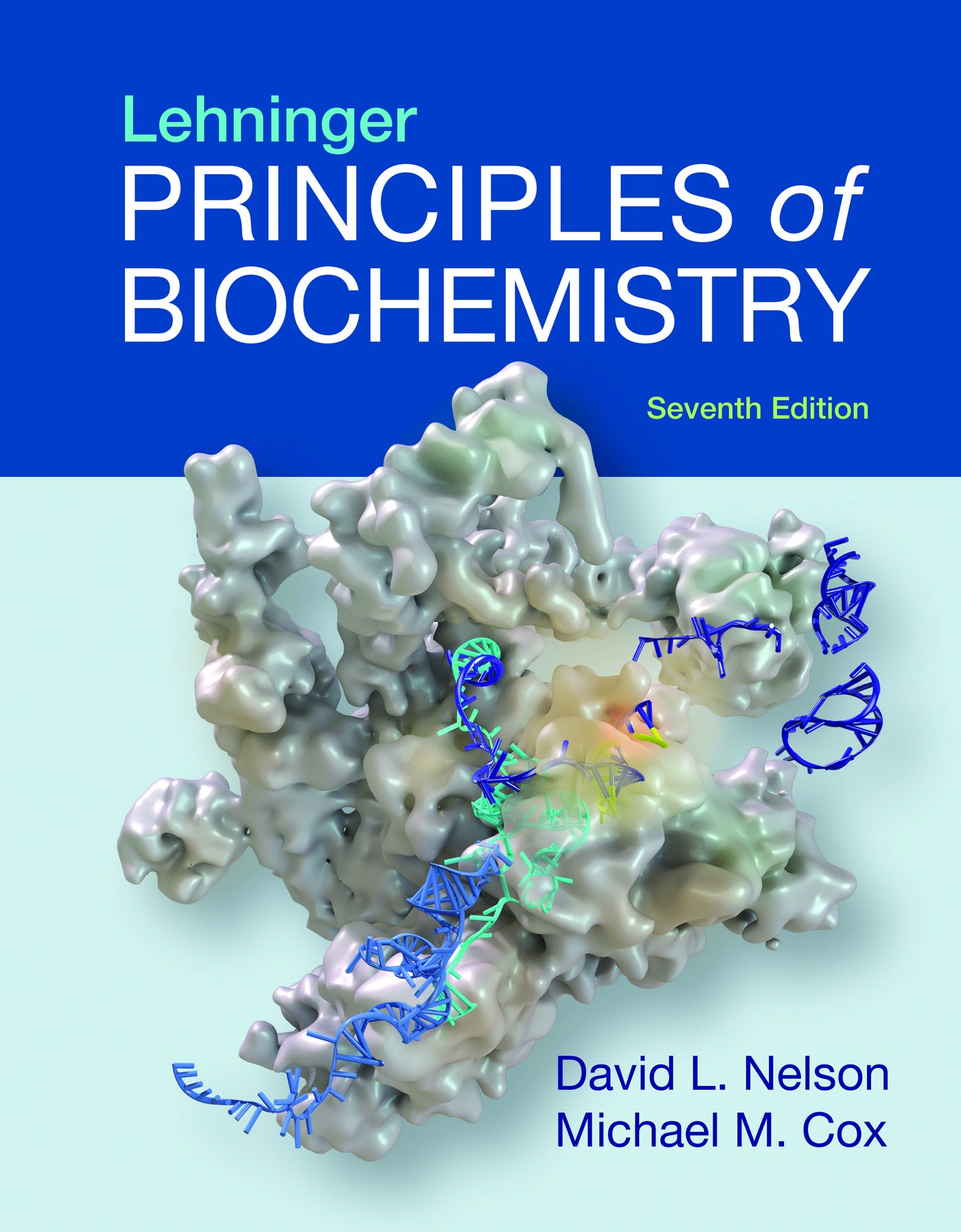 Lehninger Principles of Biochemistry: Nelson, David L., Cox