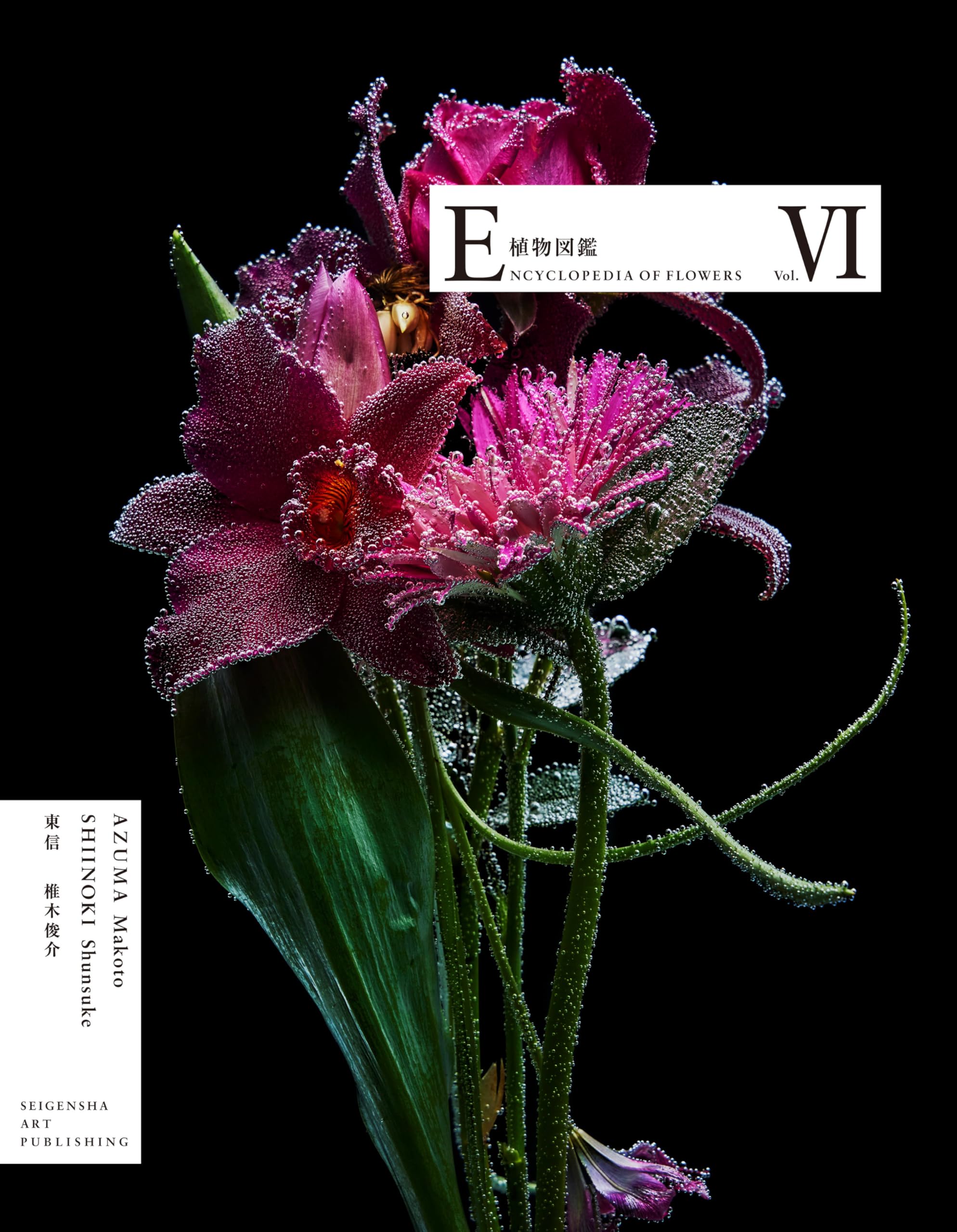 ENCYCLOPEDIA OF FLOWERS Ⅵ 植物図鑑 | 東 信, 椎木 俊介 |本 | 通販