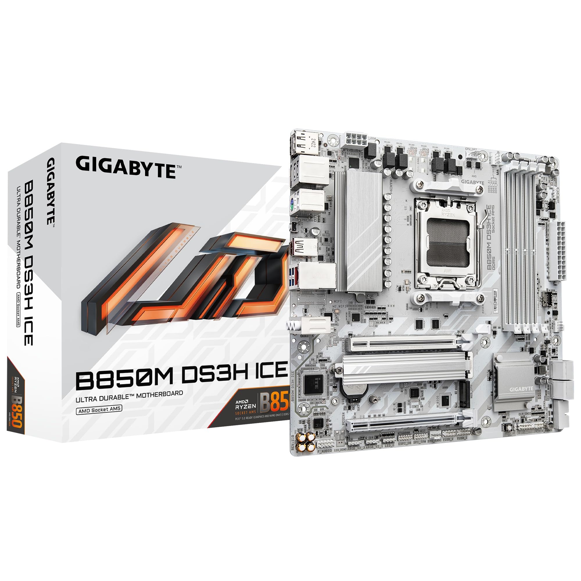 GIGABYTE B850M DS3H ICE Micro-ATX Motherboard MB6765 : Buy Online