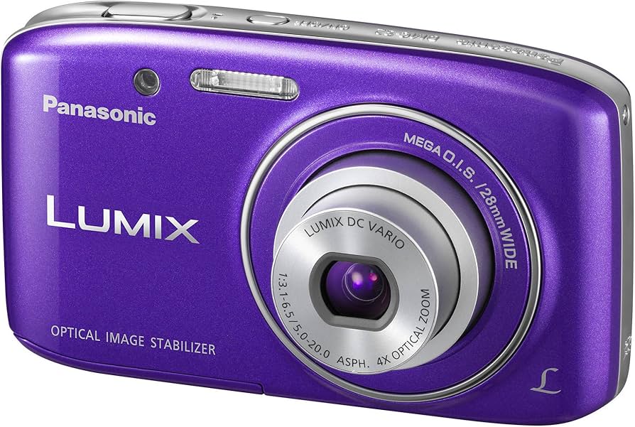 Amazon.com : Panasonic Lumix S2 14.1 MP Digital Camera with 4x