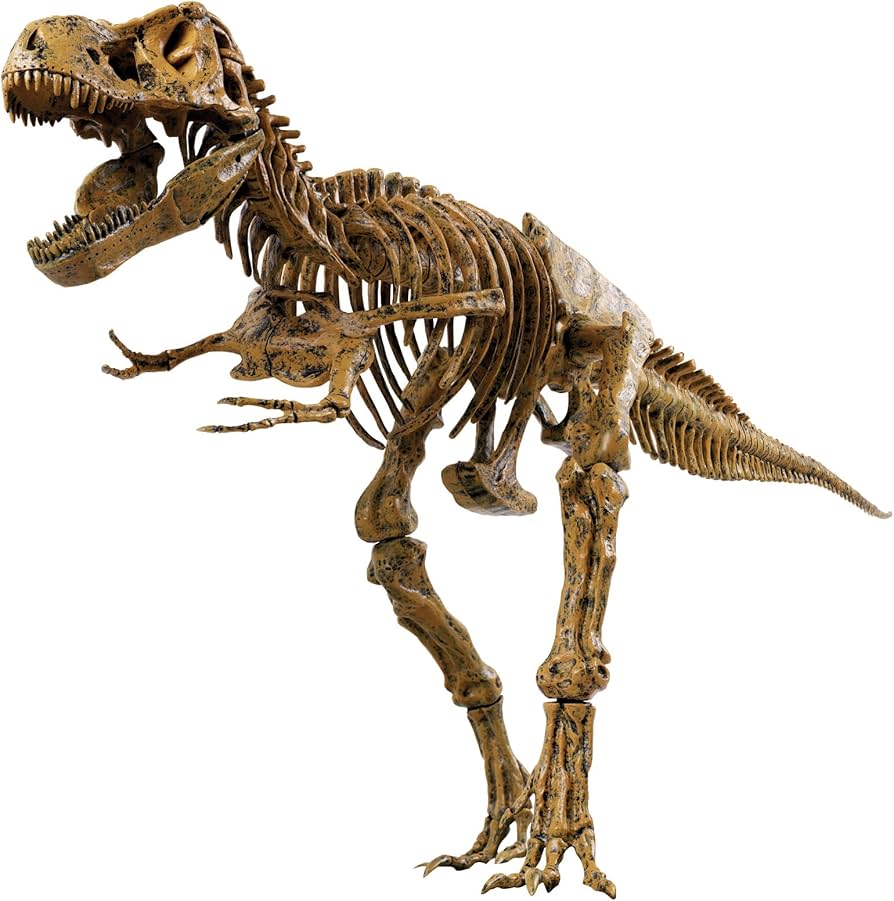 Amazon.co.jp: EDU-TOYS エデュトイ 恐竜工作 キット 51ピース