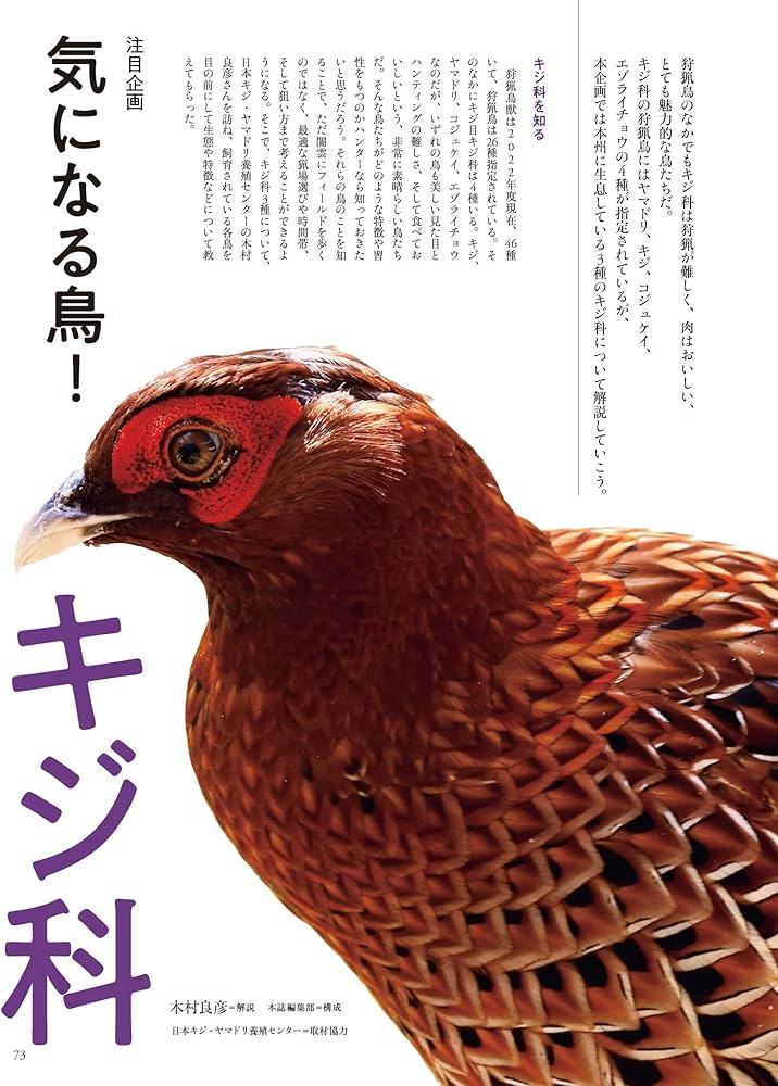 Amazon.co.jp: 狩猟生活 2022VOL.12 (別冊山と溪谷) : 山と溪谷社