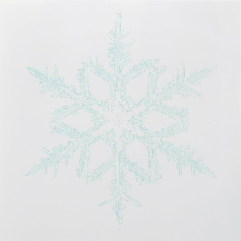 BUMP OF CHICKEN サイン入りCD スノースマイル Amazon.co.jp: スノー