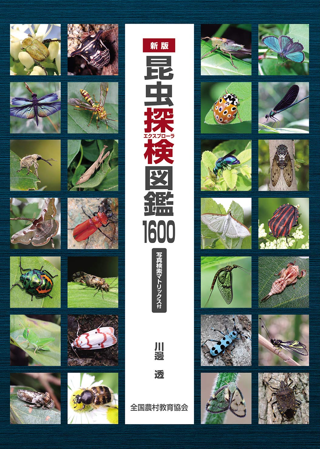 新版 昆虫探検図鑑1600 | 川邊透 |本 | 通販 | Amazon