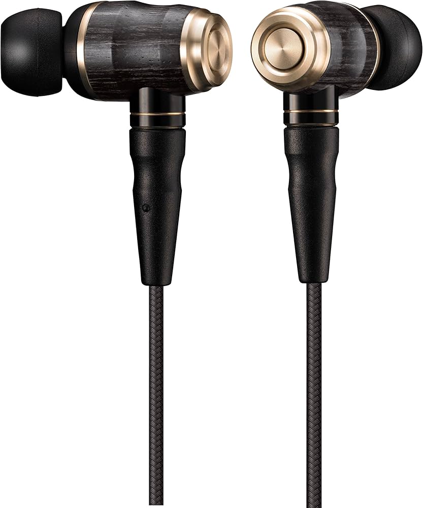 Amazon.co.jp: JVCケンウッド HA-FX1100 WOODシリーズ カナル型