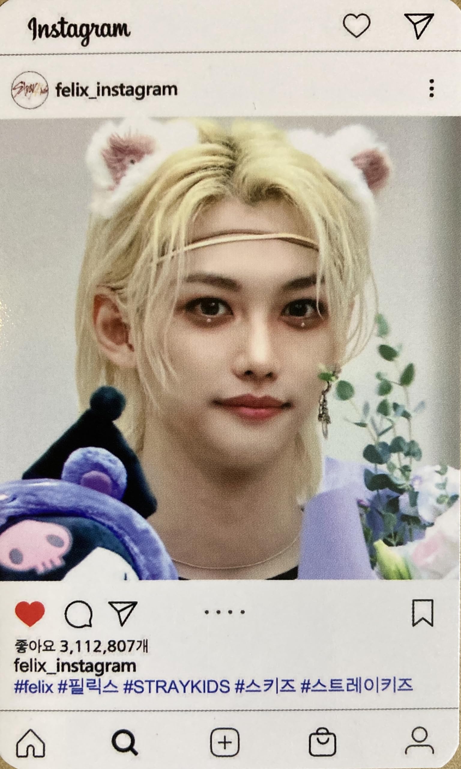 Amazon.co.jp: フィリックス グッズ フォトカード 60枚セット ポカ